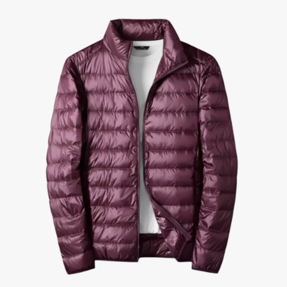 Veste en Duvet de Canard Homme – Ultra-Légère Imperméable et Compressible