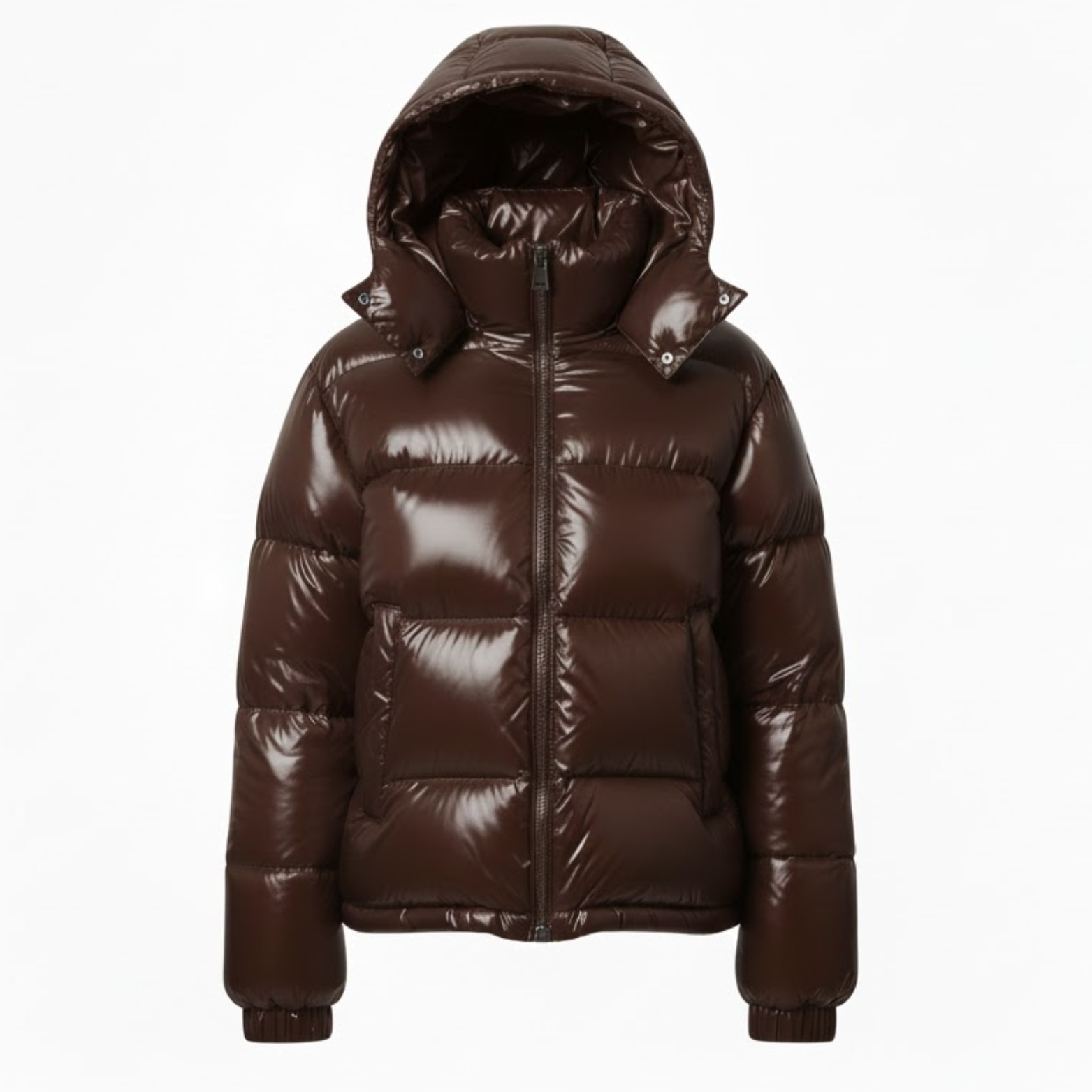 Veste Femme Matelassée Brillante à Capuche, Fermeture Zippée Montante, Chaude et Douillette