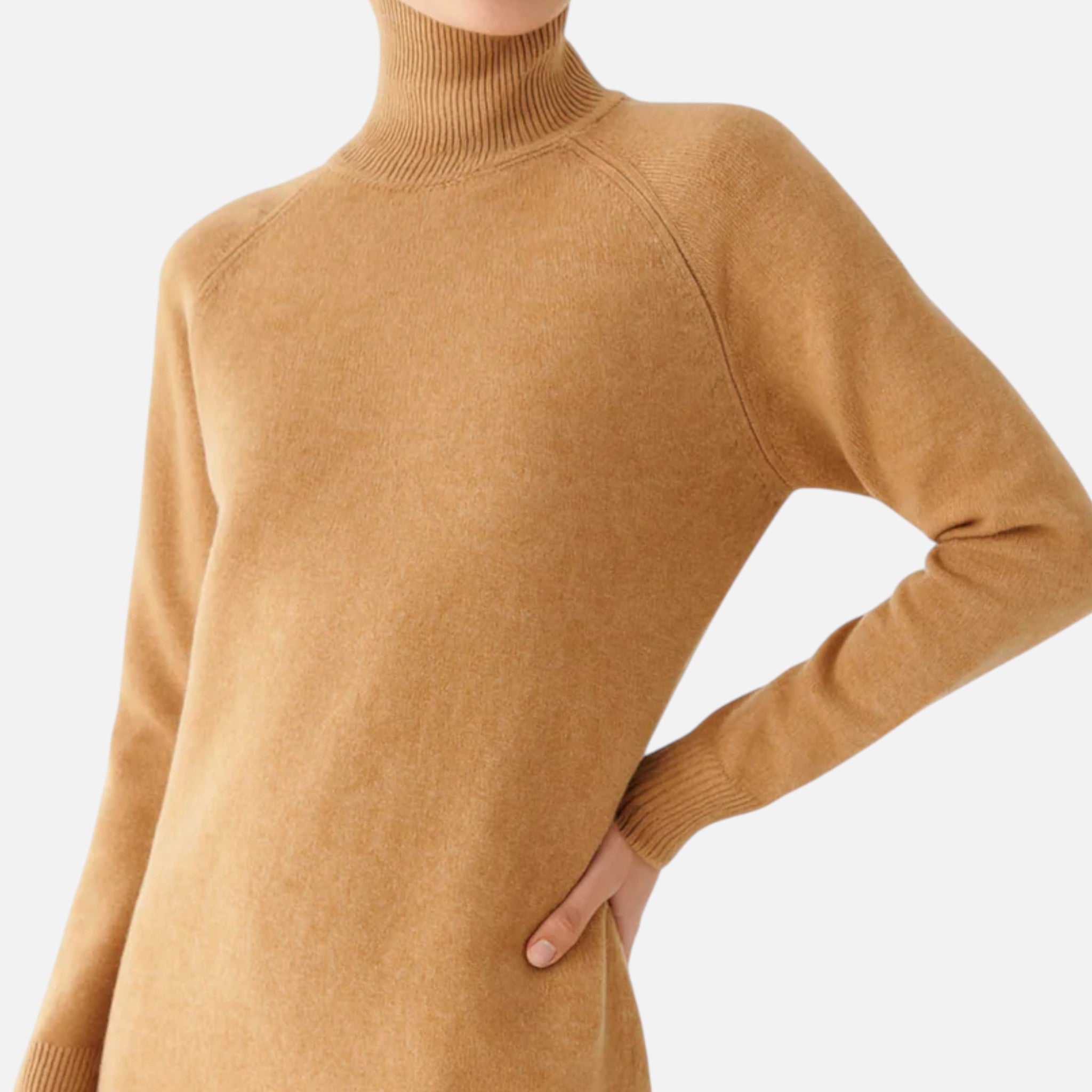 Ancienne Monde | Pull Col Roulé Laine Élégant Femme